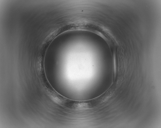 X0000067940501200604131452