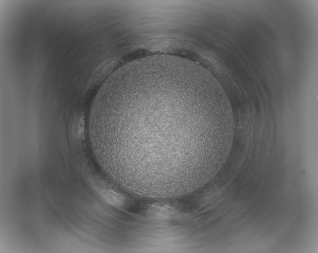 X0000067940502200604131452