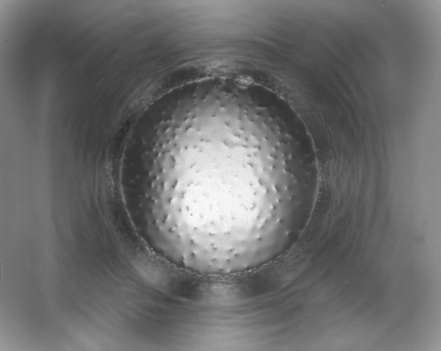 X0000067940506200604131452