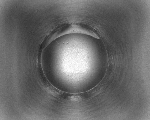 X0000067940508200604131452