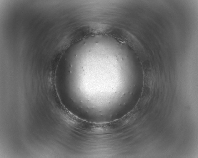 X0000067940510200604131452