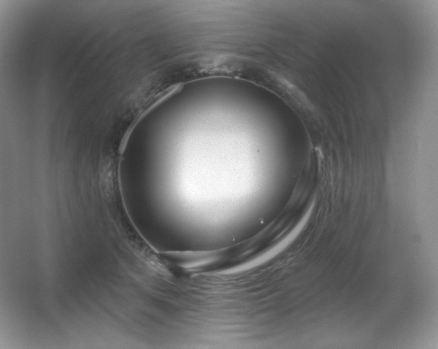 X0000067940513200604131452