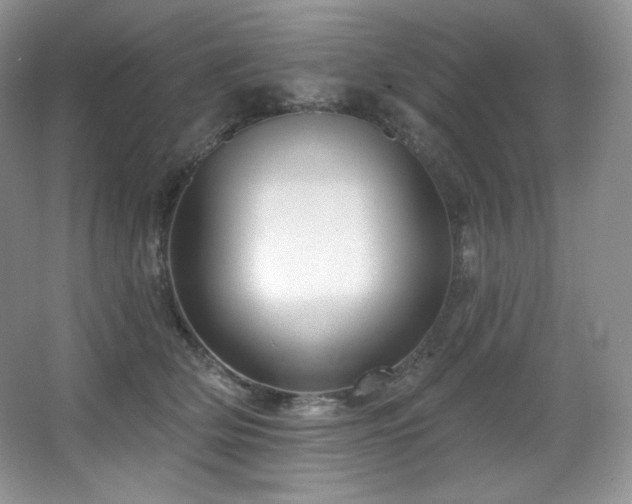 X0000067940514200604131452