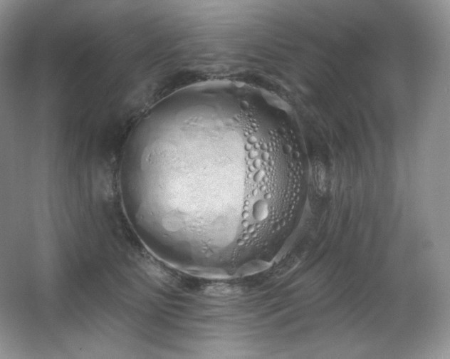X0000067940515200604131452