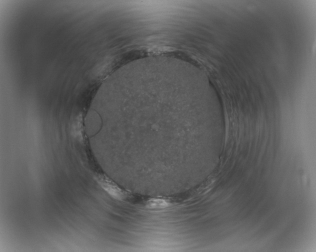 X0000067940519200604131452