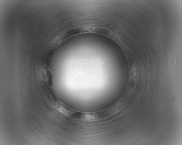 X0000067940522200604131452