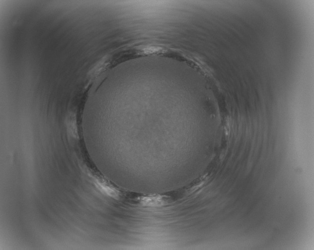 X0000067940524200604131452