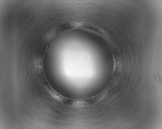 X0000067940525200604131452