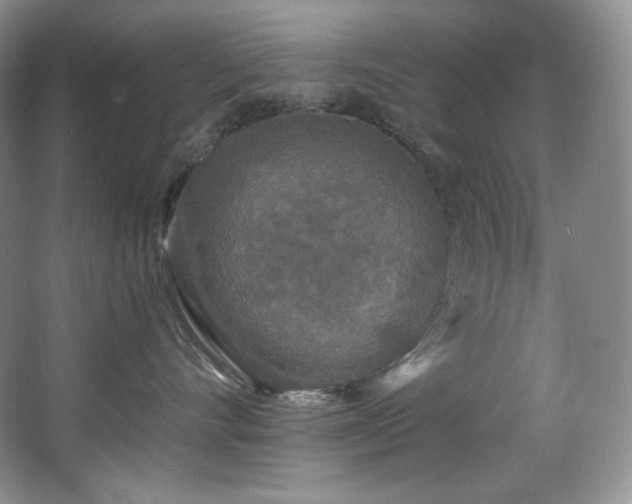 X0000067940528200604131452