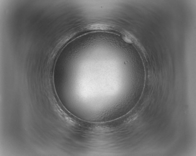 X0000067940529200604131451