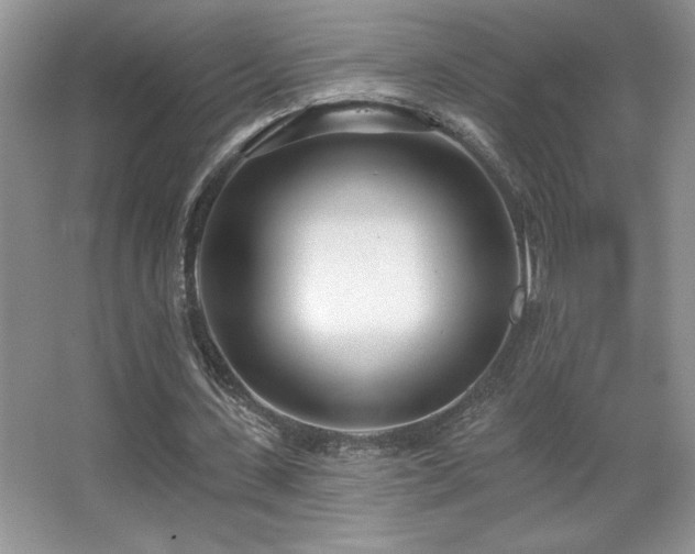 X0000067940531200604131451