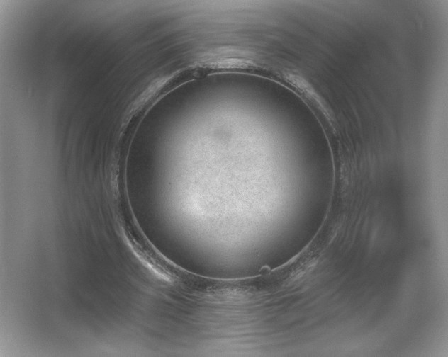 X0000067940533200604131451
