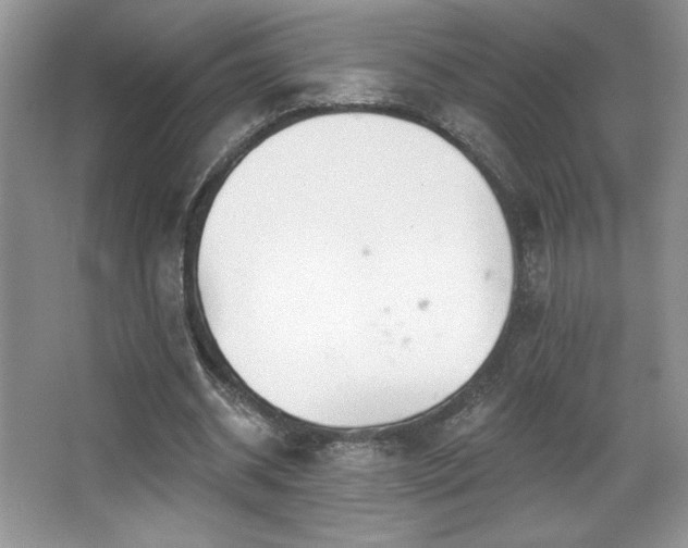 X0000067940534200604131451
