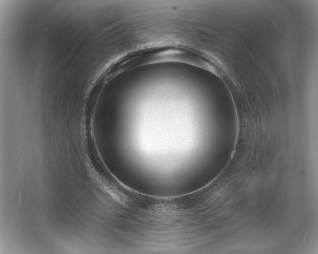 X0000067940535200604131451