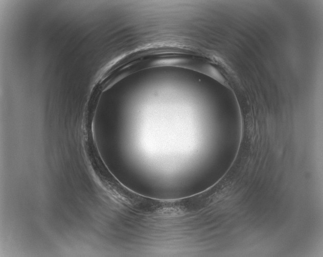 X0000067940536200604131451