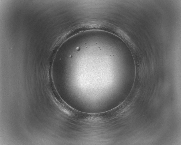 X0000067940537200604131451