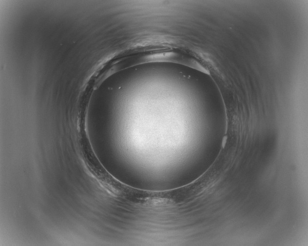 X0000067940539200604131451