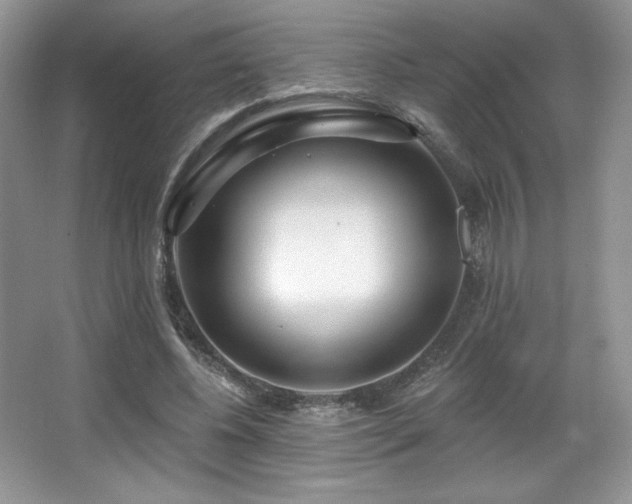 X0000067940540200604131451