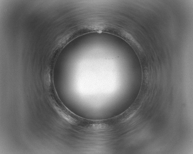 X0000067940541200604131451