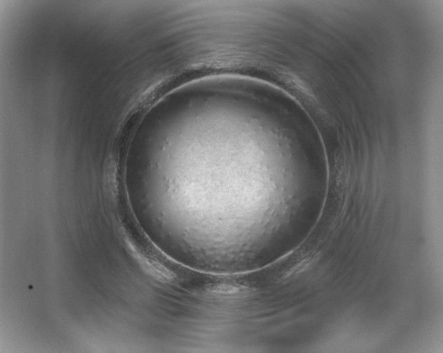 X0000067940542200604131451