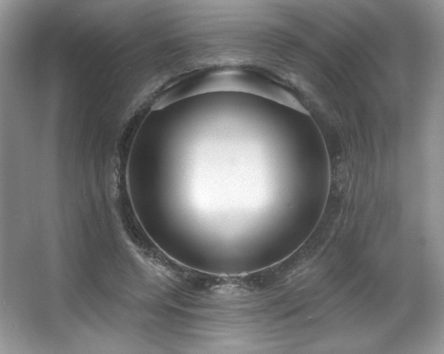 X0000067940544200604131451