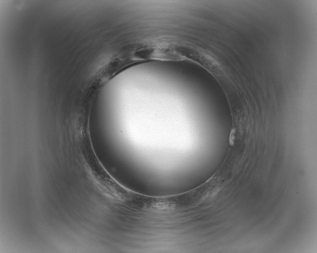 X0000067940546200604131451