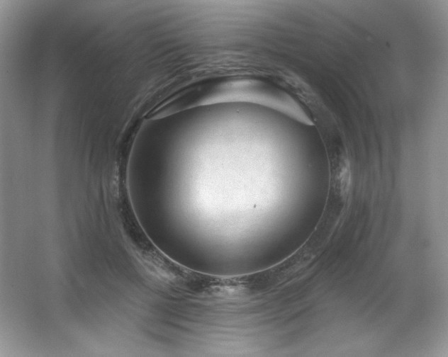 X0000067940552200604131451