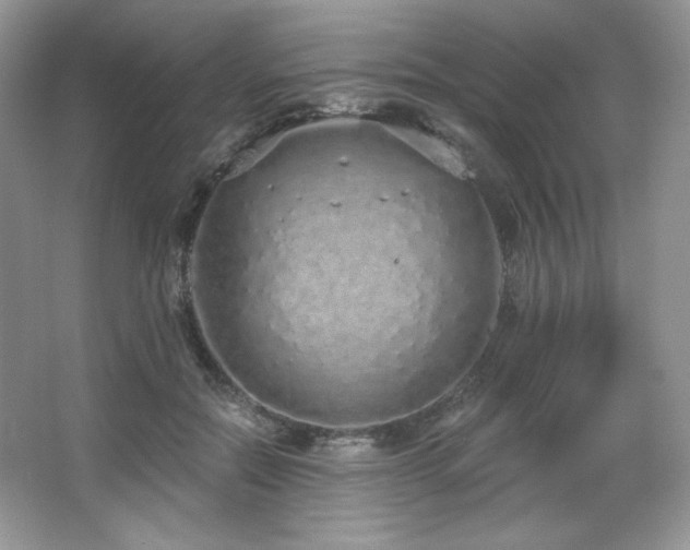 X0000067940554200604131451