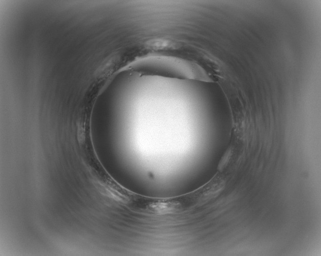 X0000067940558200604131452