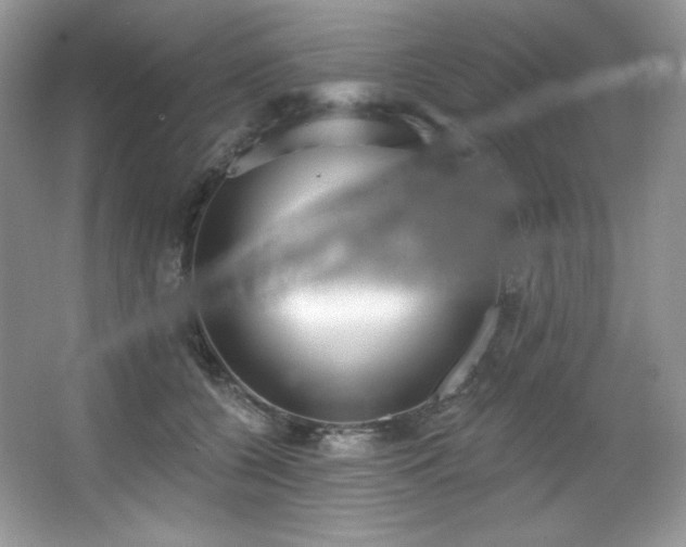 X0000067940560200604131452