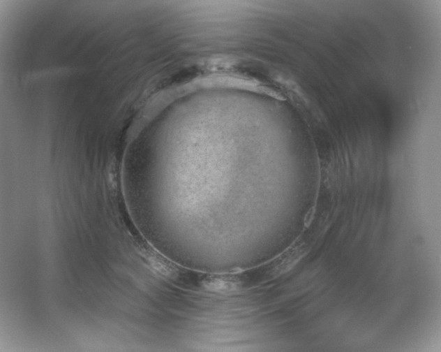 X0000067940561200604131452