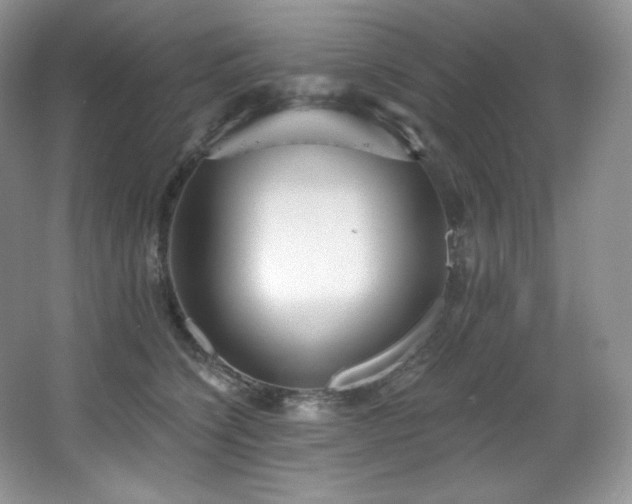 X0000067940564200604131452