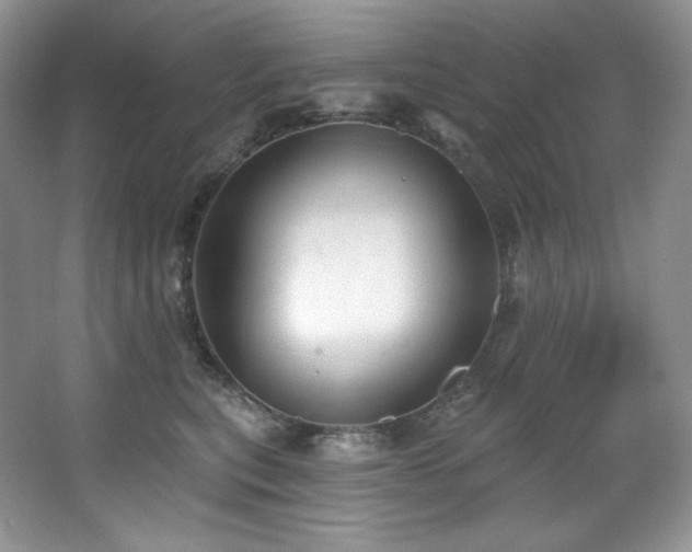 X0000067940567200604131452