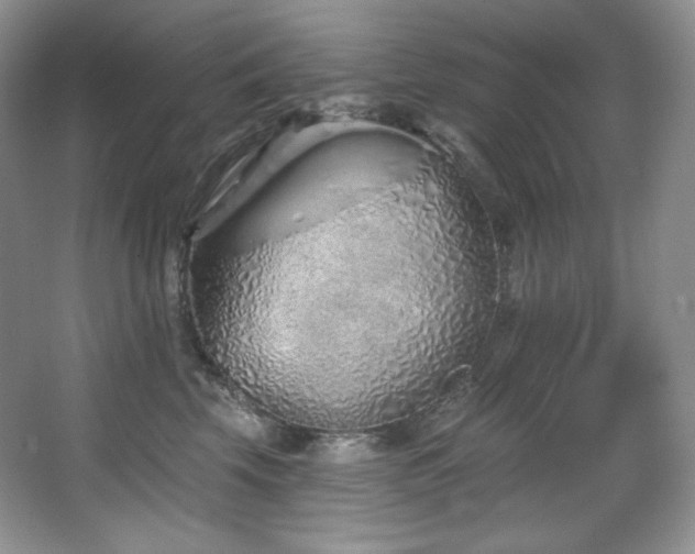 X0000067940569200604131452