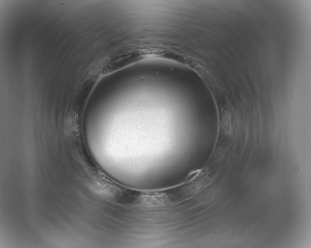 X0000067940571200604131452
