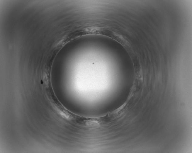 X0000067940572200604131452