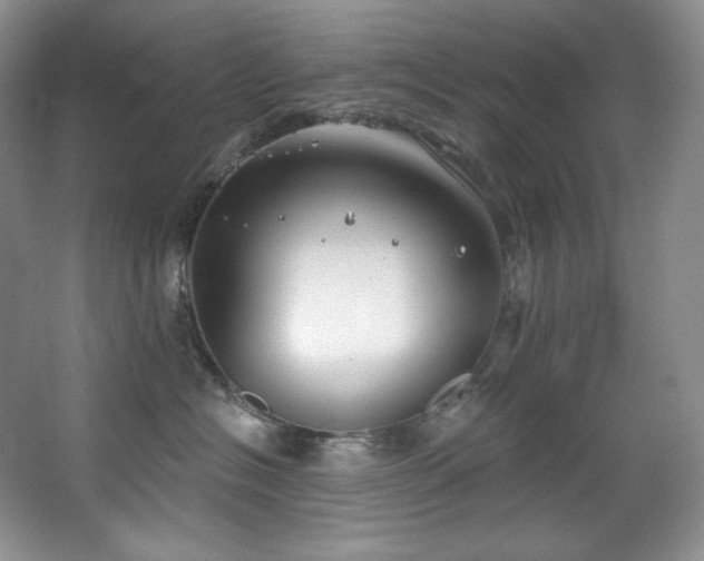 X0000067940574200604131452