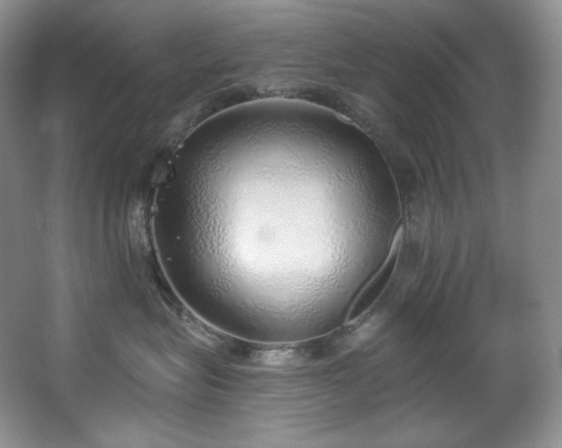 X0000067940575200604131452