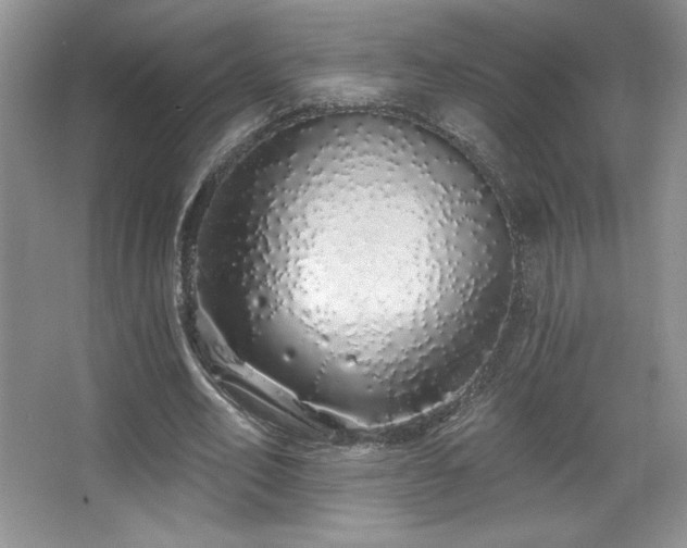 X0000067940582200604131451