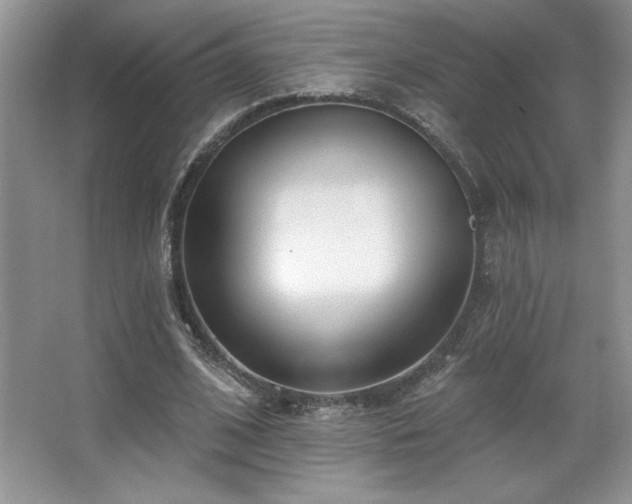 X0000067940584200604131451