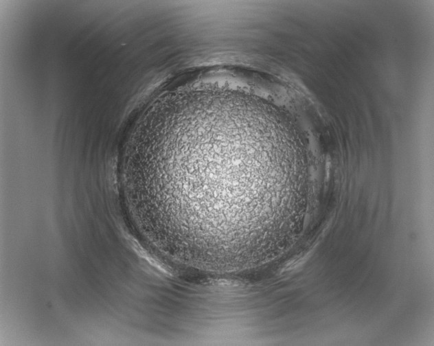 X0000067940585200604131451
