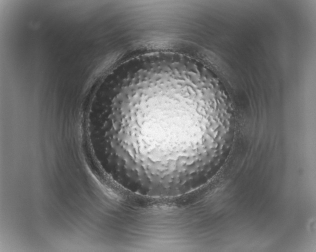 X0000067940586200604131451