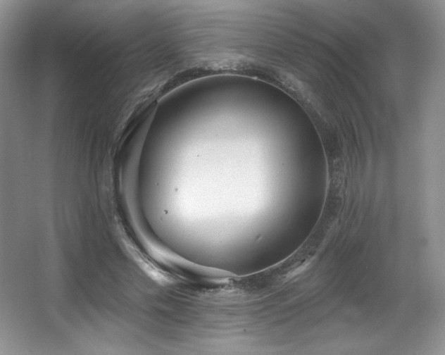 X0000067940589200604131451