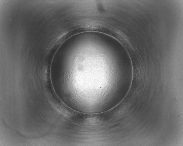 X0000067940596200604131451