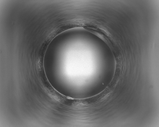 X0000067940597200604131451