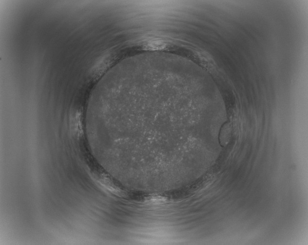 X0000067940598200604131451