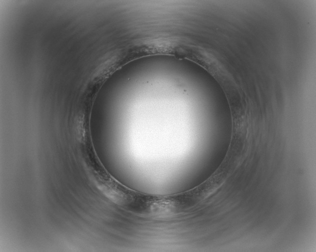 X0000067940599200604131451