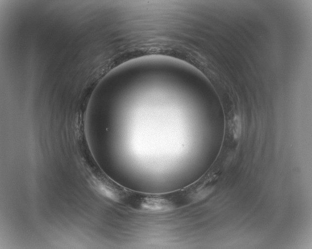 X0000067940605200604131451