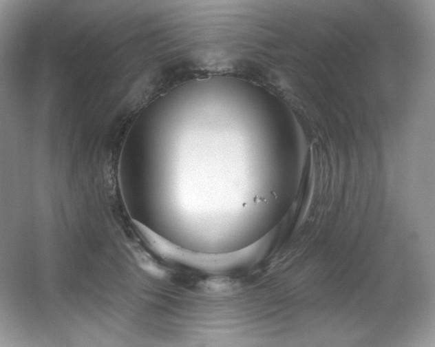 X0000067940609200604131450