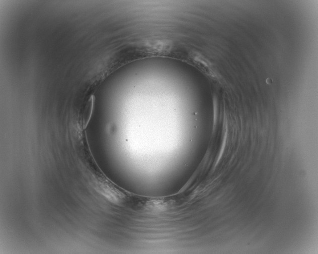 X0000067940613200604131450